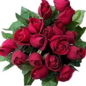 Meet your Posher, Thuy